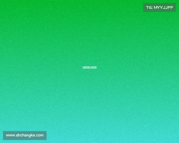 小牛的赛事;小牛赛道