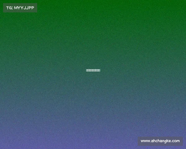 真中国功夫实战视频