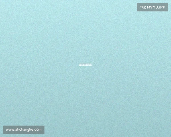 奥迪杯算正式比赛嘛